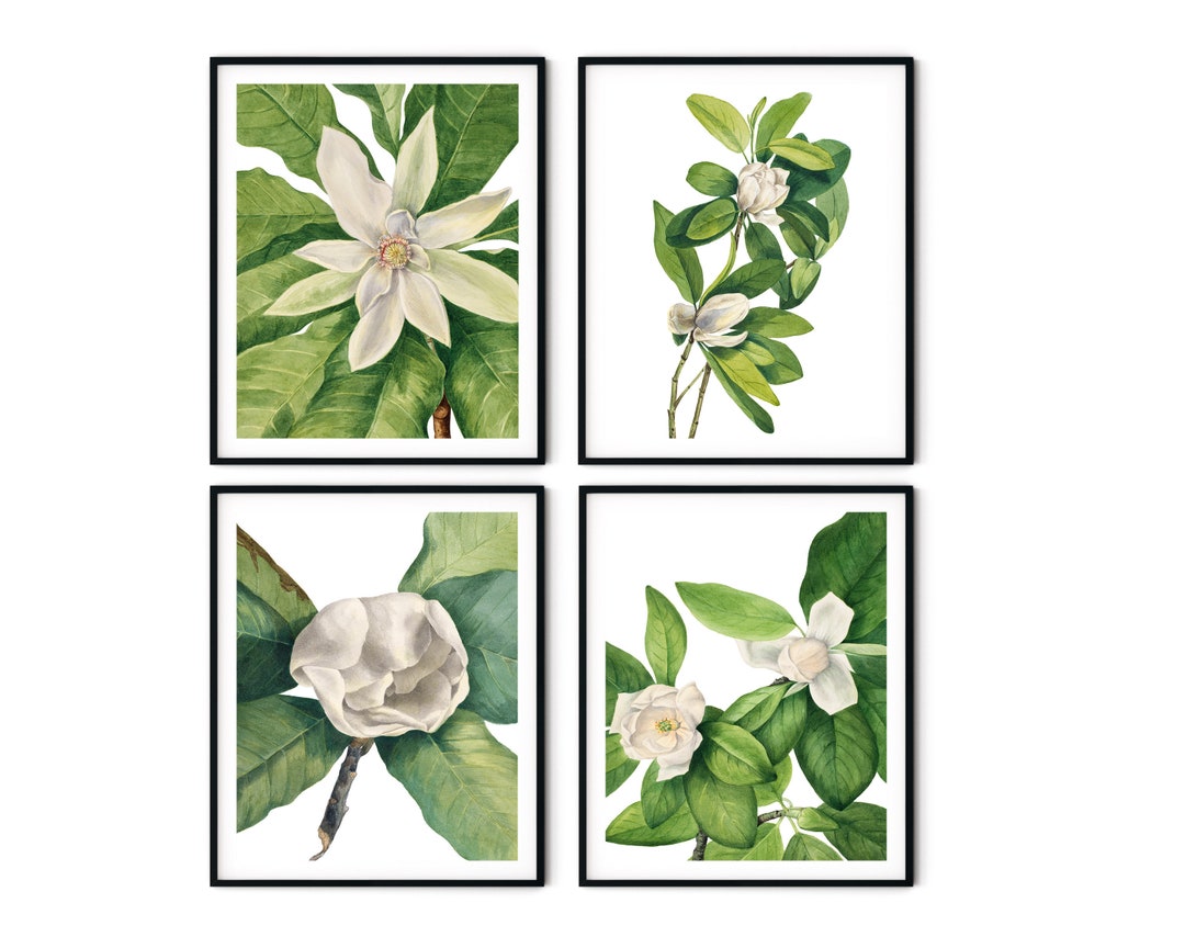 Magnolia Prints Set of 4 - Magnolia Wall Art, Botanical Art, Kitchen ...