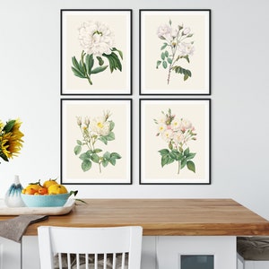 May include: Four framed botanical prints featuring white flowers with green leaves on a cream background. The prints are arranged in a grid pattern on a white wall.
