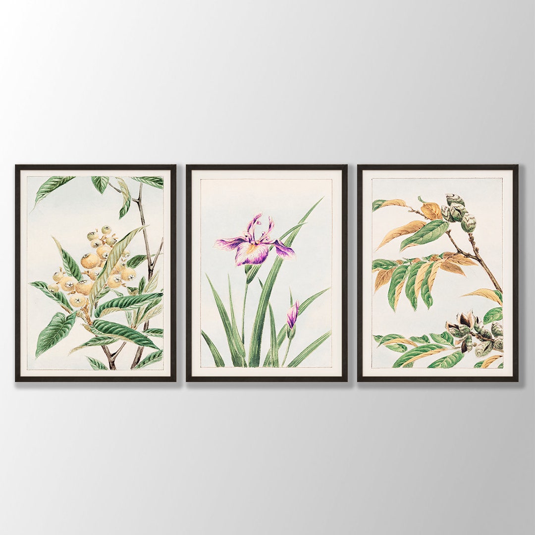 アンティーク　版画日本画 花・植物・果実の絵 4点セット アンティーク 版画日本画 花・植物・果実の絵 4点セット