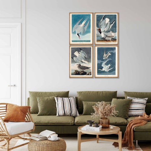 Conjunto de láminas vintage de aves de Audubon: arte mural costero