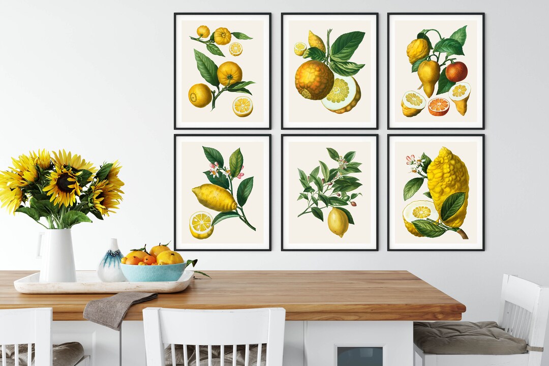 add a touch of nature to your kitchen with citrus... French Citrus Prints: Vintage Botanical Kitchen Wall Art Set - Etsy