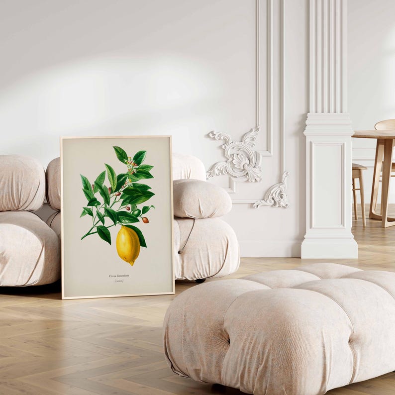 May include: A vintage botanical illustration of a lemon tree branch with green leaves, small white flowers, and a ripe yellow lemon. The illustration is framed and displayed on a white wall.