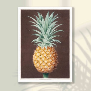 Vintage Pineapple Poster - Pineapple Decor, Pineapple Wall Art, Tropical Print, Tropical Decor, Kitchen Wall Art Decor, Botanical Print