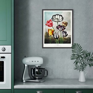 May include: A framed botanical illustration of a bouquet of colourful tulips. The tulips are in shades of red, yellow, white, and black. The illustration is set against a light blue background with a cloudy sky.