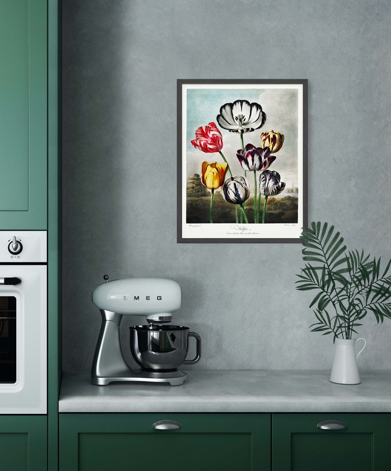 May include: A framed botanical illustration of a bouquet of colourful tulips. The tulips are in shades of red, yellow, white, and black. The illustration is set against a light blue background with a cloudy sky.
