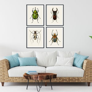 Vintage Beetles Print Set of 4 - Insect Prints, Bugs Prints, Beetle ...