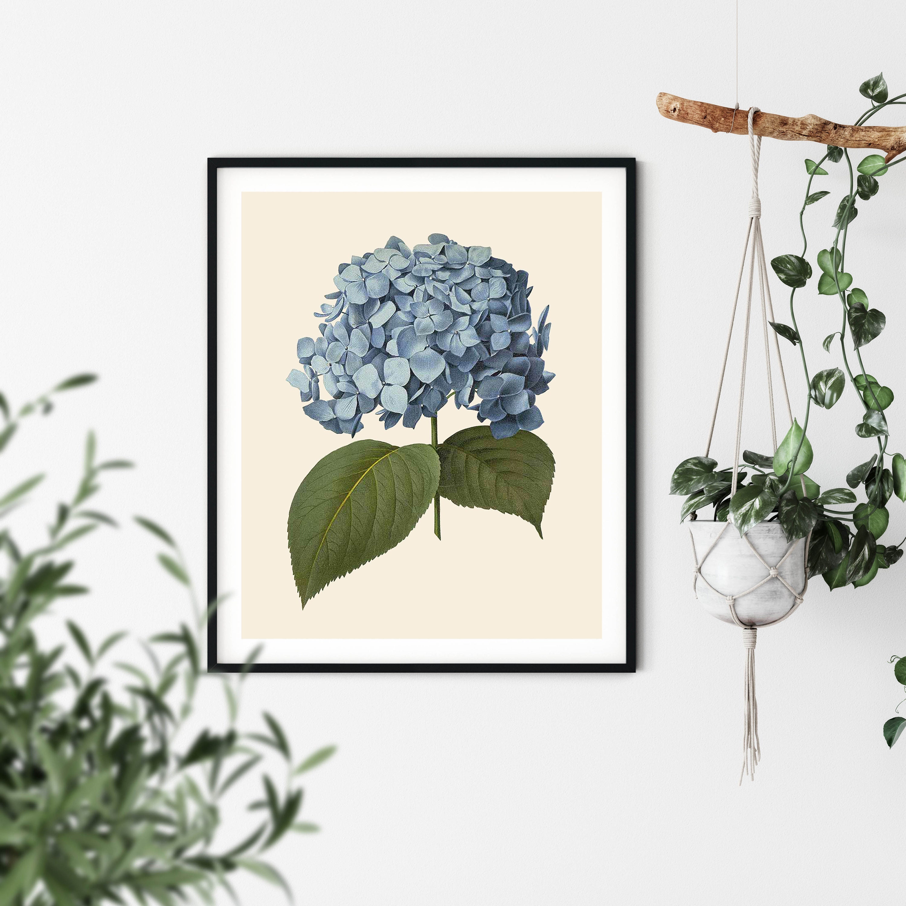 Vintage Hydrangea Print Blue Botanical Art Hydrangea Wall | Etsy