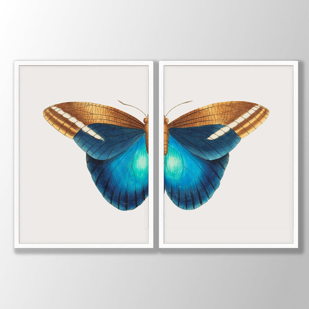 Vintage Blue Butterfly Print Set of 2 - Butterfly Wall Art, Butterfly ...