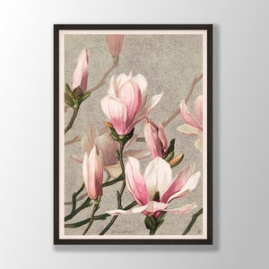 Magnolia Print | Magnolia Wall Art, Vintage Magnolia Poster, Farmhouse Wall Art, Botanical Print, Kitchen Wall Art, Farmhouse Decor