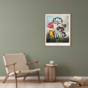 May include: A framed botanical illustration of a bouquet of tulips with black and white striped petals. The tulips are in shades of red, yellow, and purple. The background is a light blue sky with a green landscape.