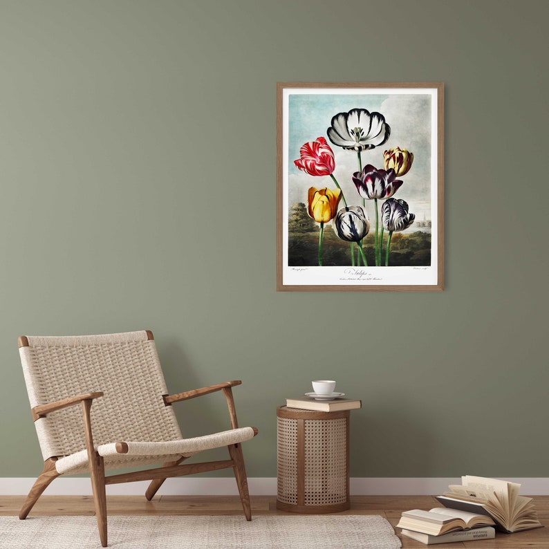 May include: A framed botanical illustration of a bouquet of tulips with black and white striped petals. The tulips are in shades of red, yellow, and purple. The background is a light blue sky with a green landscape.