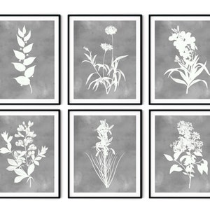 Grauer Aquarell Blumendruck 6er Set - Botanische Wandkunst, Bauernhauskunst, botanische Drucke, Bauernhausdekor, Küchenkunst, Wohnzimmerdekor