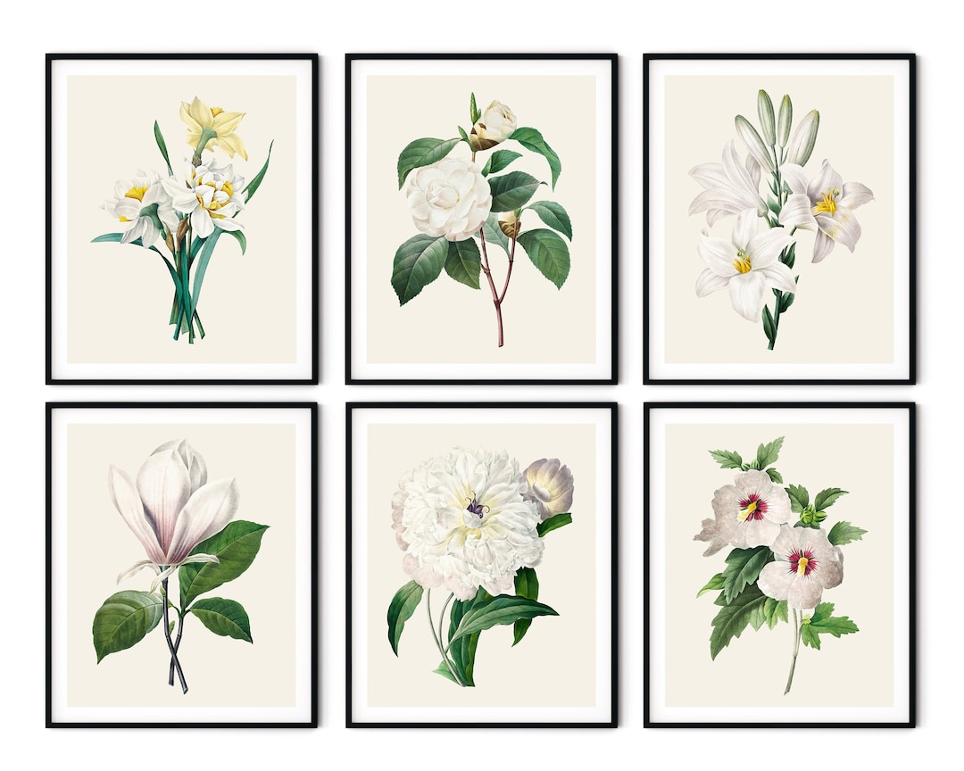 White Botanical Prints Set of 6 - White Flower Prints, Kitchen Wall Art ...