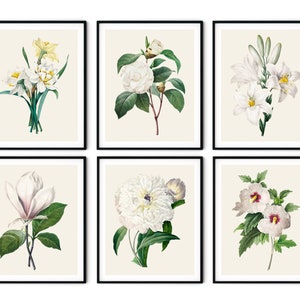 May include: Set of six botanical prints featuring white flowers with green leaves. The flowers include a magnolia, a camellia, a lily, a daffodil, a peony, and a hibiscus.