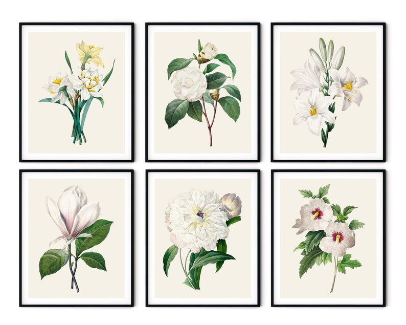 May include: Set of six botanical prints featuring white flowers with green leaves. The flowers include a magnolia, a camellia, a lily, a daffodil, a peony, and a hibiscus.