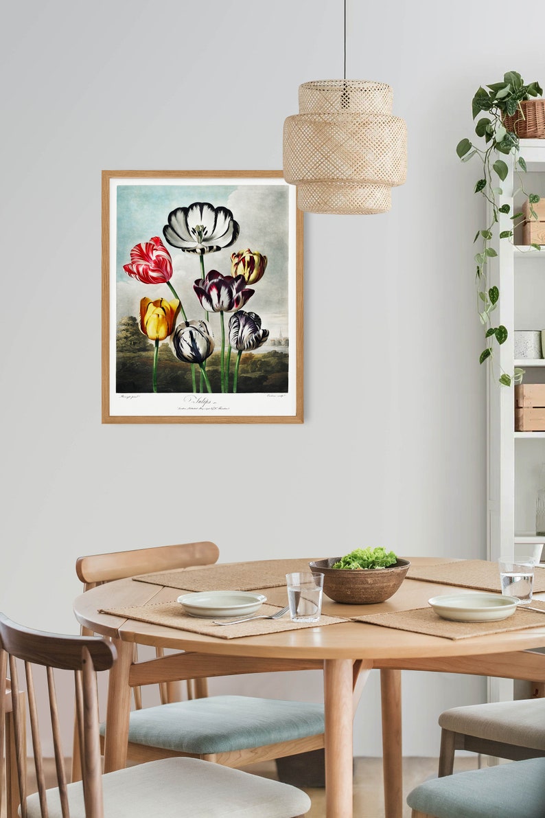 May include: A framed botanical illustration of a bouquet of colourful tulips with black and white stripes. The tulips are arranged in a vase and are set against a blue sky background. The image is titled "Tulipa" and includes the text "Drawn from Nature by J.S. Knowles, London, 1827."