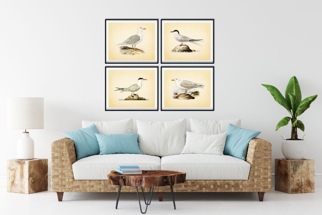 Vintage Sea Bird Print Set of 4 - Sea Bird Wall Art, Beach House Decor ...