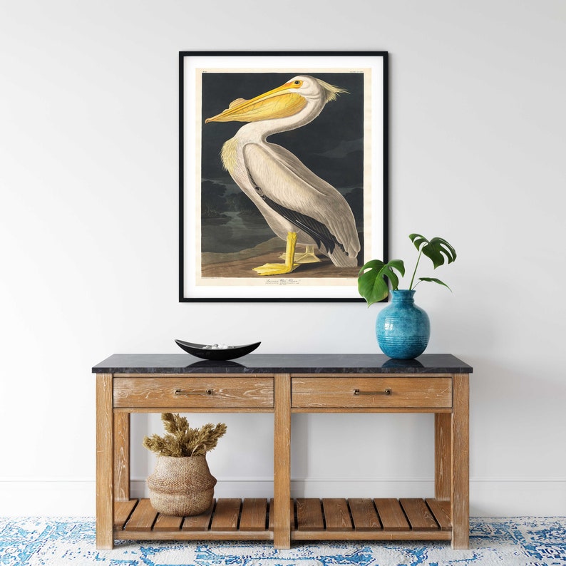 Vintage Audubon Pelican Print: Coastal Bird Wall Art - Etsy