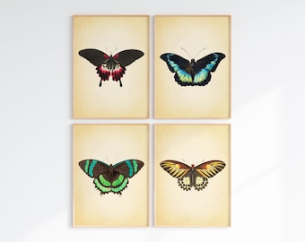 Conjunto de impresiones de mariposas vintage: Arte mural de la galería de historia natural