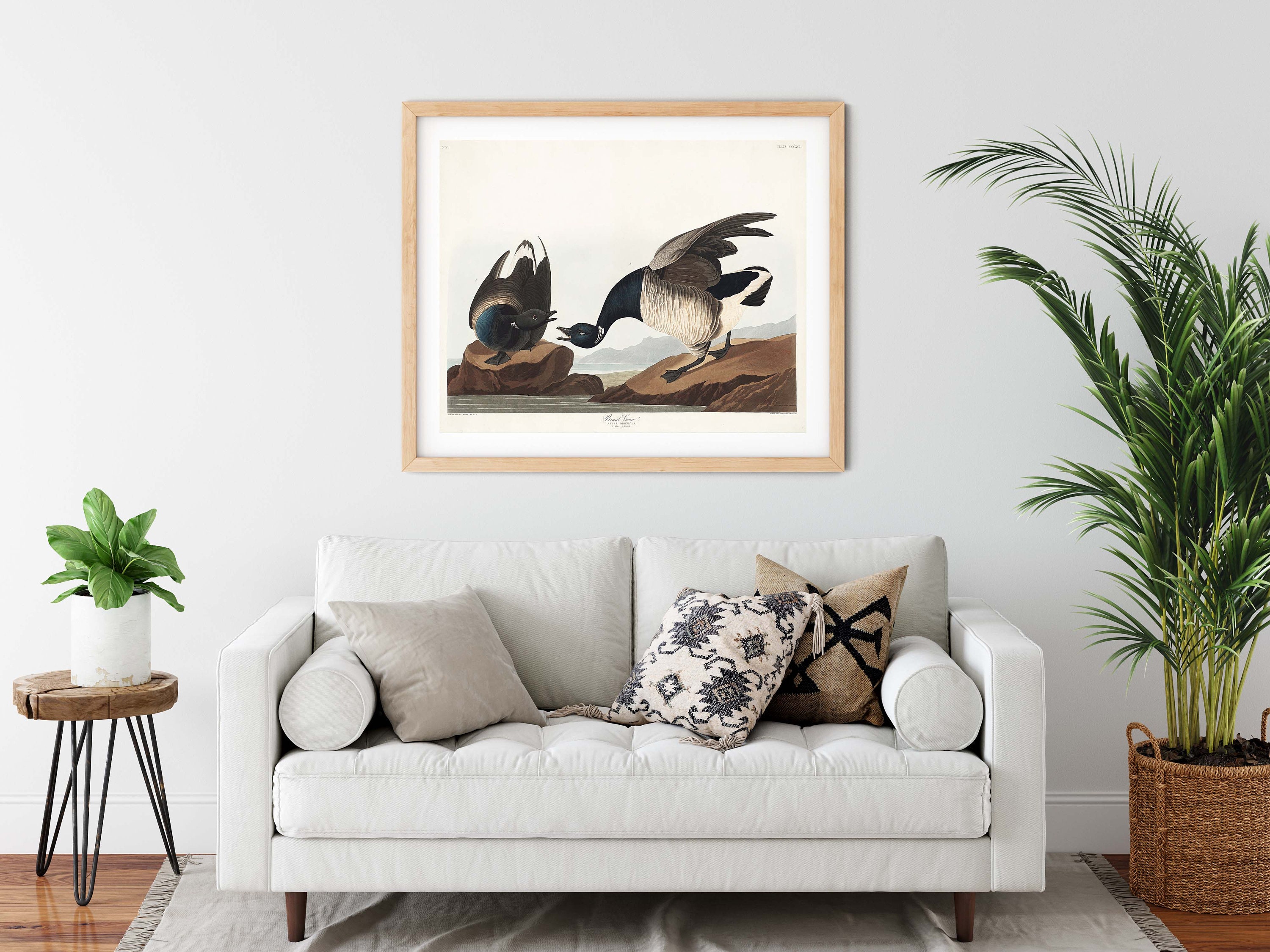 Vintage Brant Goose Print Goose Wall Art Sea Bird Print Etsy