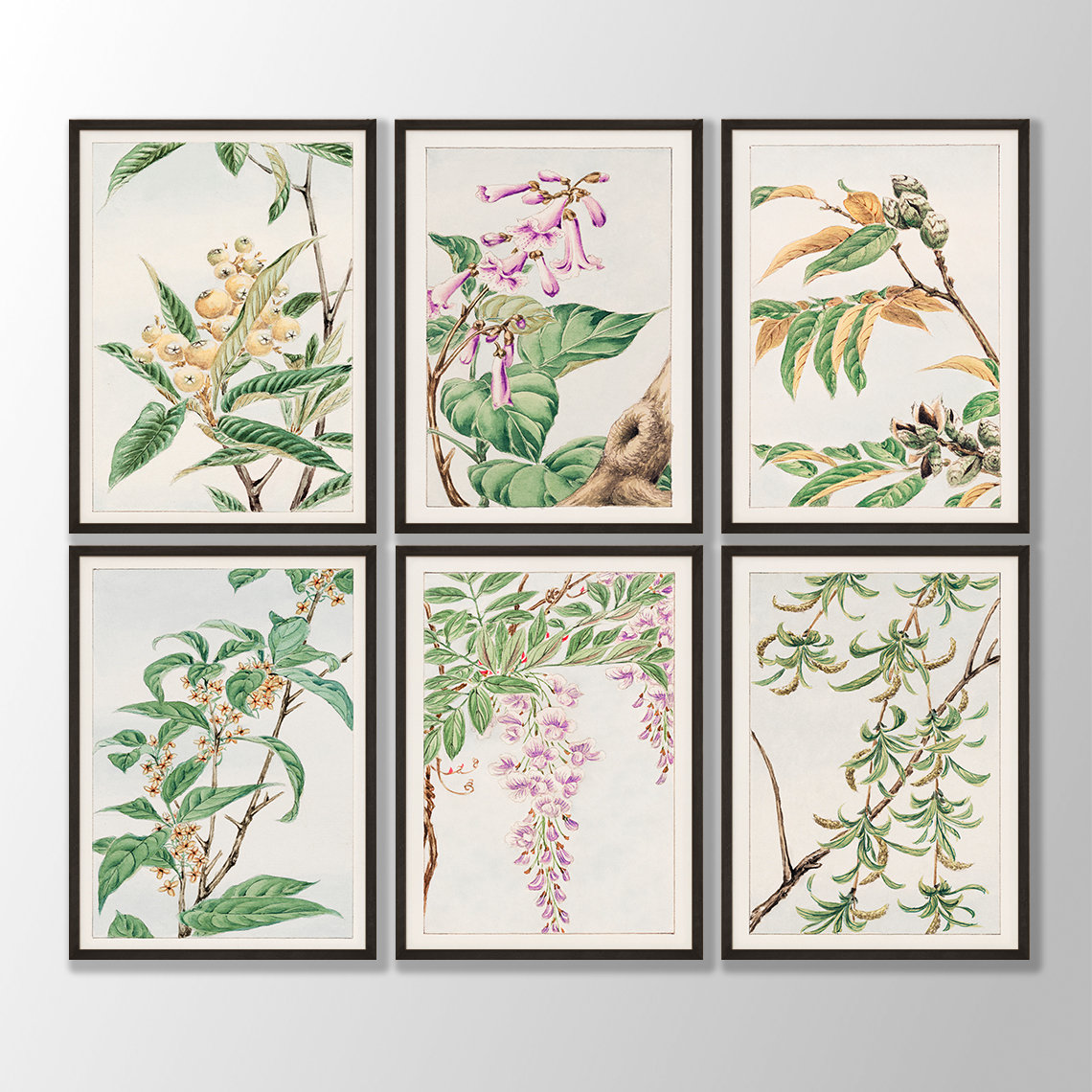 Japanese Flower Prints Set of 6 No: 2 - Japanese Flower Japanese Flower Prints Set of 6 No: 2 - Japanese Flower