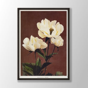 Vintage Peony Print | Japanese Flower Wall Art, Peony Wall Art, Flower Print, Botanical Print,Kitchen Wall Art,Farmhouse Decor,Bedroom Decor