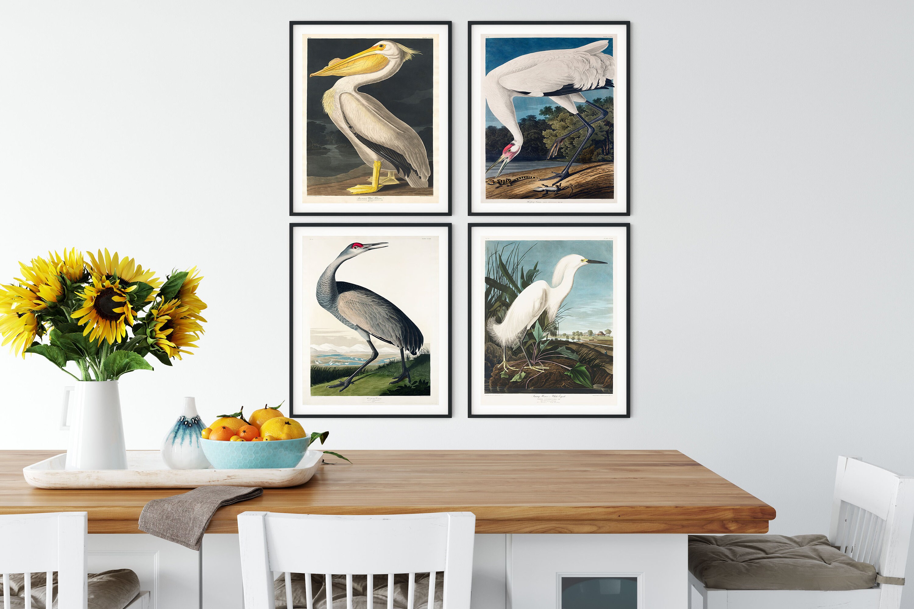 Audubon Birds Print Set: Vintage Tropical Bird Wall Art - Etsy