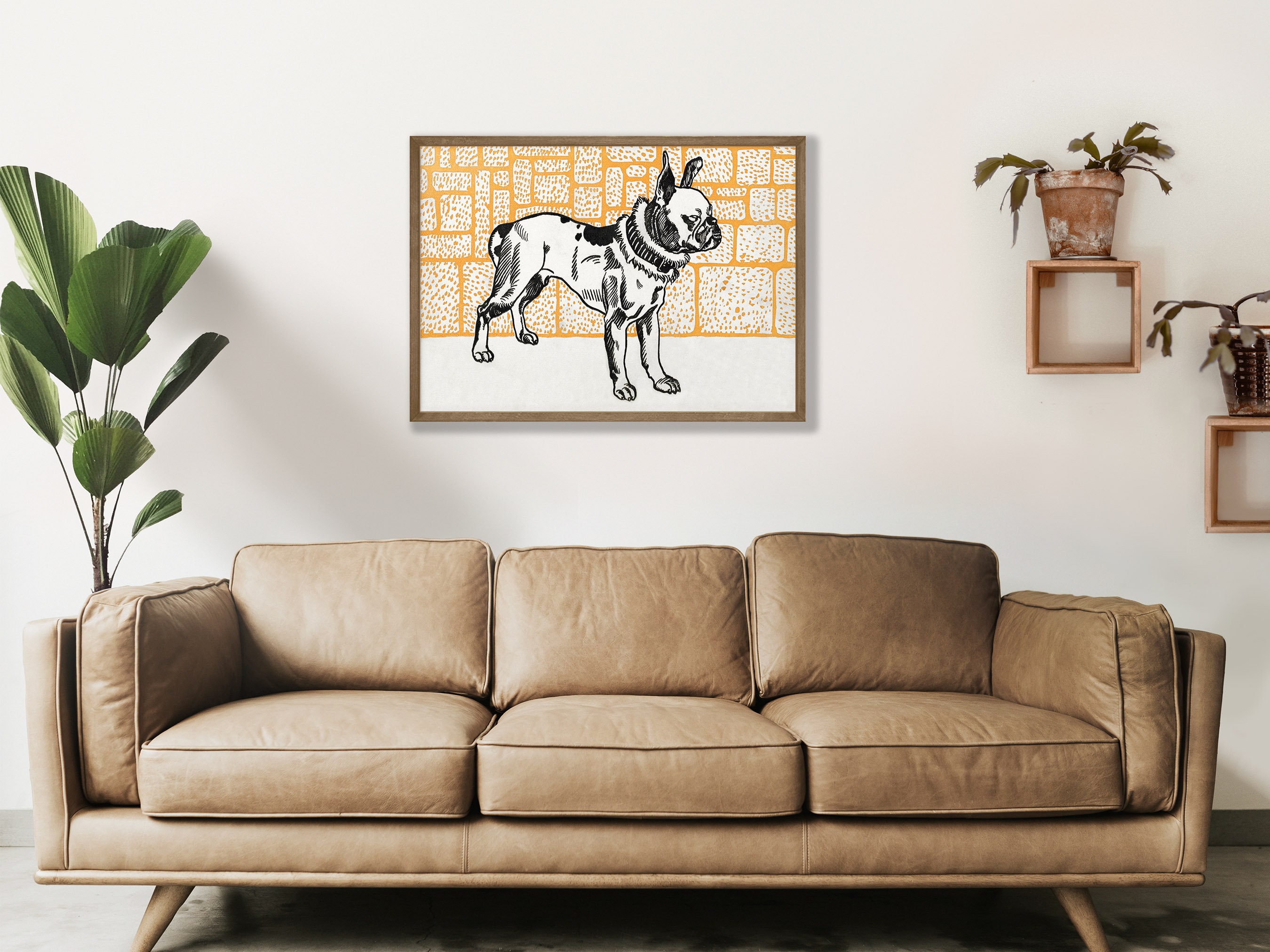Pitbull Terrier By Moriz Jung Fine Art Print