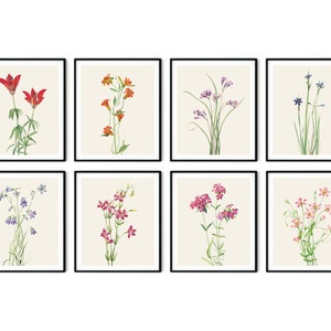 Wildblumen Print Set von 8 - Botanische Drucke, Küchen Wandkunst, Blumen Wandkunst, Blumendrucke, Galerie Wanddekoration, Küchendekoration