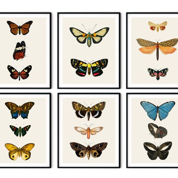 Vintage Butterfly Print Set of 6 No2 - Butterfly Wall Art, Gallery Wall Art, Beach House Decor, Natural History Art, Nursery Wall Art