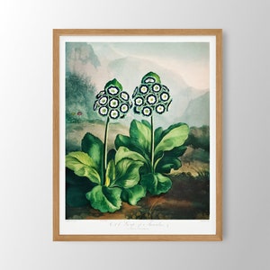 Vintage Flower Print | Farmhouse Wall Art, Botanical Print, Kitchen Wall Art, Farmhouse Decor, Dining Room Art, Bedroom Decor, Bathroom Art