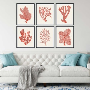 Red Sea Coral Prints Set of 6 Red Coral Prints, Nautical Art, Beach ...