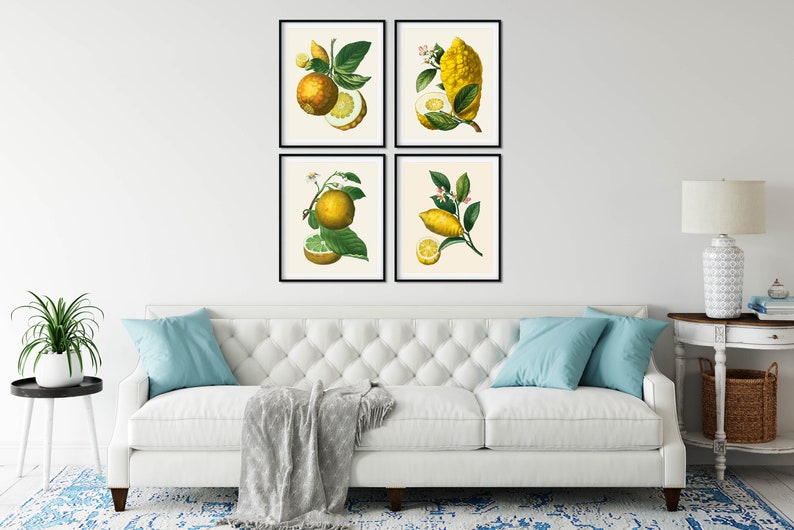 May include: Four framed botanical illustrations of lemons and limes with green leaves and white flowers on a white background.