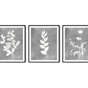 Graue Aquarell Blumen 3er Set - Botanische Wandkunst, Bauernhauskunst, botanische Drucke, Bauernhausdekor, Küchenkunst, Wohnzimmerdekor