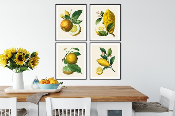 French Citrus Prints Set of 4 - Vintage Lemon Botanical Art
