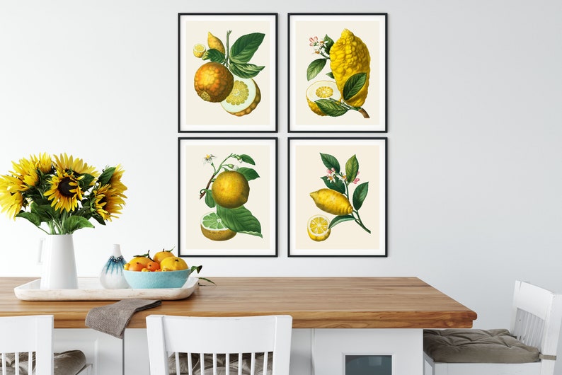 French Citrus Prints Set of 4 - Vintage Lemon Botanical Art image 1
