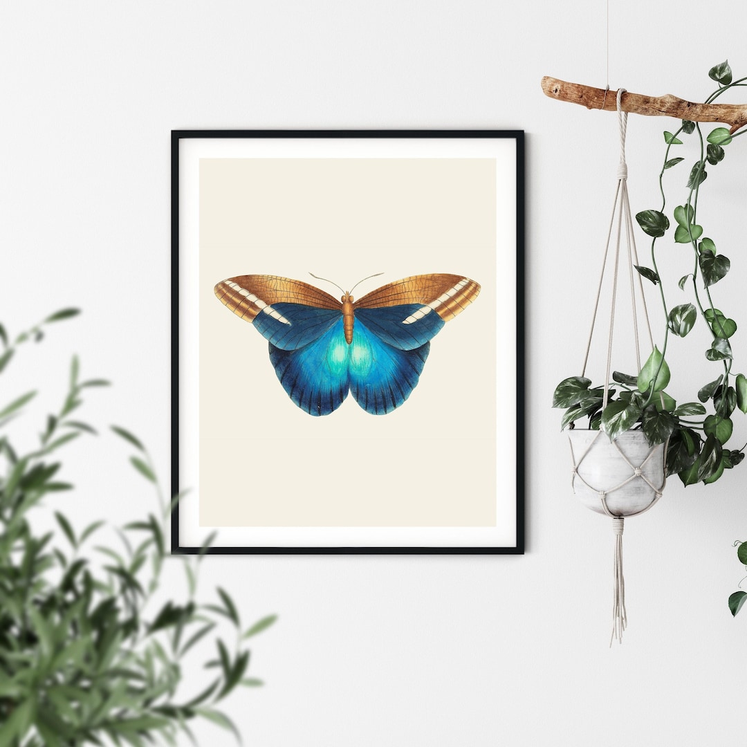 Vintage Blue Butterfly Print - Butterfly Wall Art, Butterfly Art ...