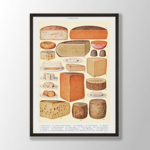 May include: A vintage illustration of different types of cheese, including cheddar, brie, and parmesan. The illustration is labelled with the names of each cheese and is set against a light yellow background.