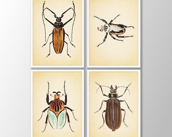 Vintage Beetles Print Set de 4 No2 - Impresiones de insectos, Impresiones de insectos, Arte de pared de escarabajos, Impresiones de arte de insectos, Decoración de granja, Arte de historia natural