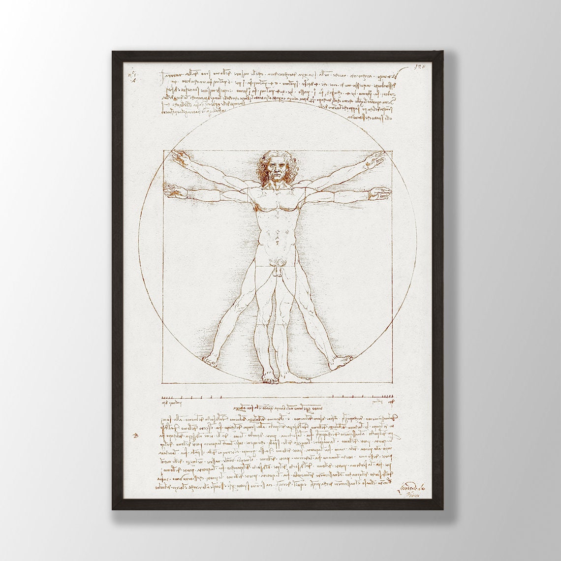 ウィトルウィウス的人体図 アートプリント：レオナルド・ダ・ヴィンチ