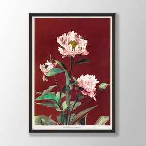 Vintage Peony Print | Japanese Flower Wall Art, Peony Wall Art, Flower Print, Botanical Print,Kitchen Wall Art,Farmhouse Decor,Bedroom Decor