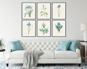 Blue Flower Botanical Art Prints Set of 6 - Redoute Style