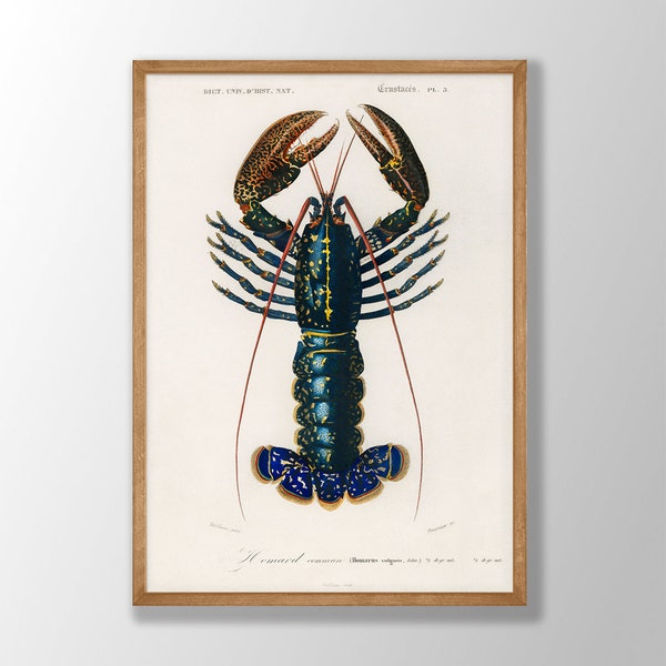 Vintage Lobster Poster - Crimson Crawfish, Crawfish Poster, Sea Life Wall Art, Lobster Wall Art, Nautical Wall Art, Coastal Art