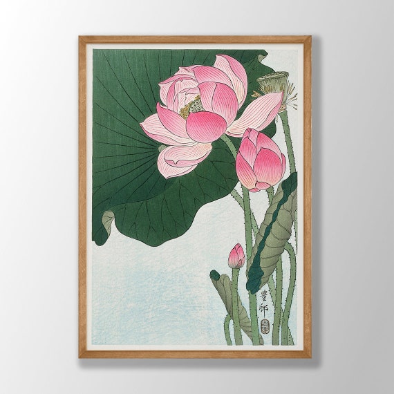 Japanese Flower Art Prints - Lotus Flower Print, Pink