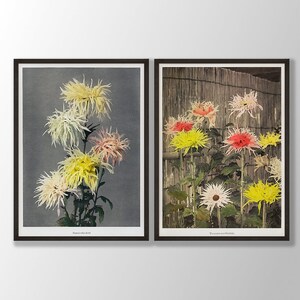 Japanese Flower Prints Set of 2 - Vintage Flower Wall Art, Botanical Poster, Floral Art Prints, Kitchen Prints, Bedroom Wall Art,Mothers Day