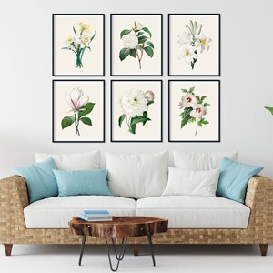May include: A set of six framed botanical prints featuring white flowers with green leaves on a white background. The prints are arranged in a grid pattern on a white wall.