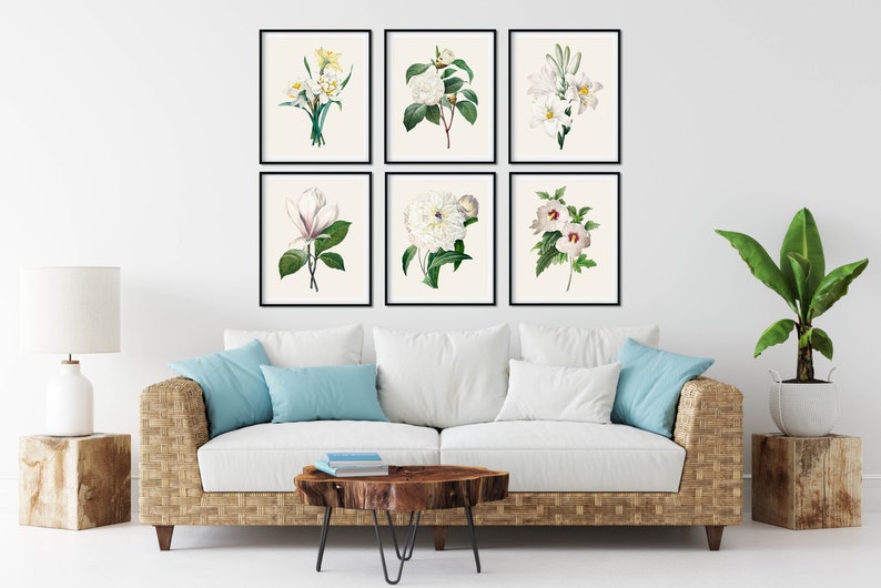 May include: A set of six framed botanical prints featuring white flowers with green leaves on a white background. The prints are arranged in a grid pattern on a white wall.