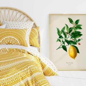 May include: A yellow and white patterned duvet cover with a yellow and white patterned pillow on a bed with a wicker headboard. A framed botanical print of a lemon branch with the text "Citrus Limonum" is on the wall.