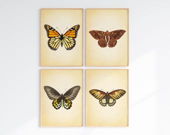 Conjunto de impresiones de mariposas vintage: Arte mural de la galería de historia natural