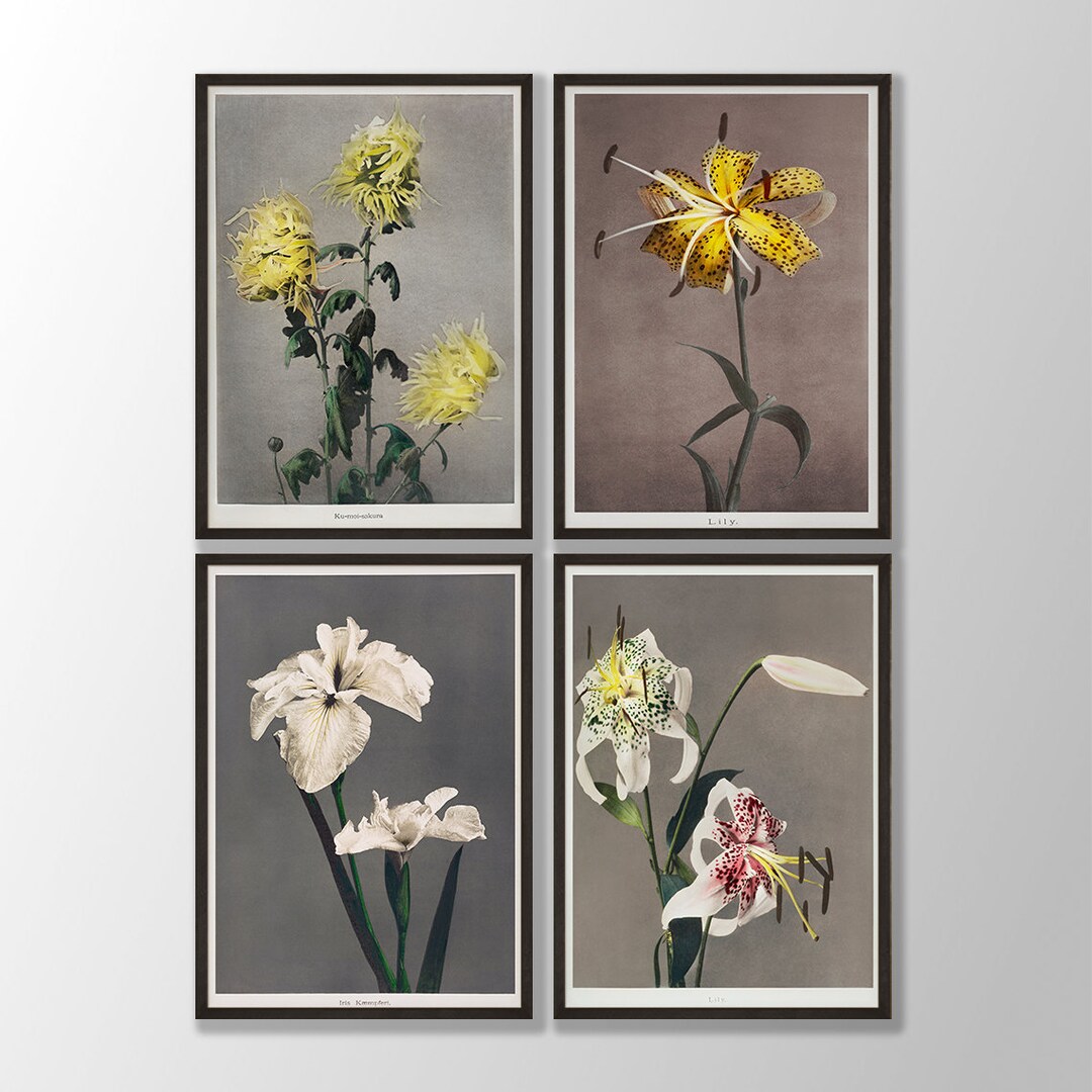 Japanese Flower Prints Set: Vintage Botanical Wall Art - Etsy